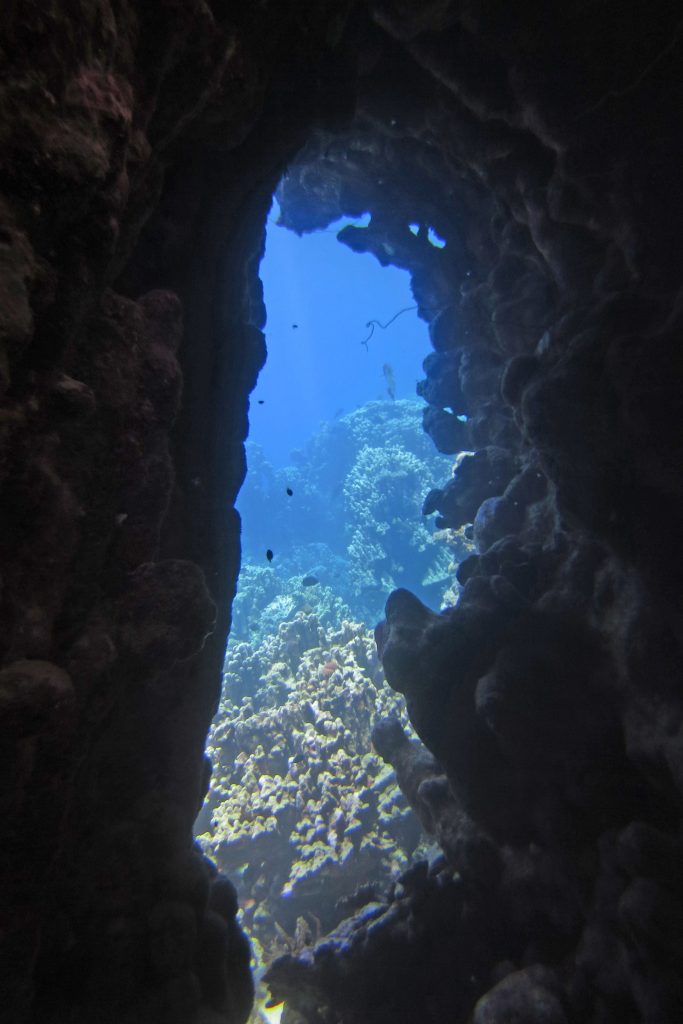 Underwater cave at Abu Dabbab reef 3
Roland Unger – CC BY-SA 4.0 – via Wikimedia