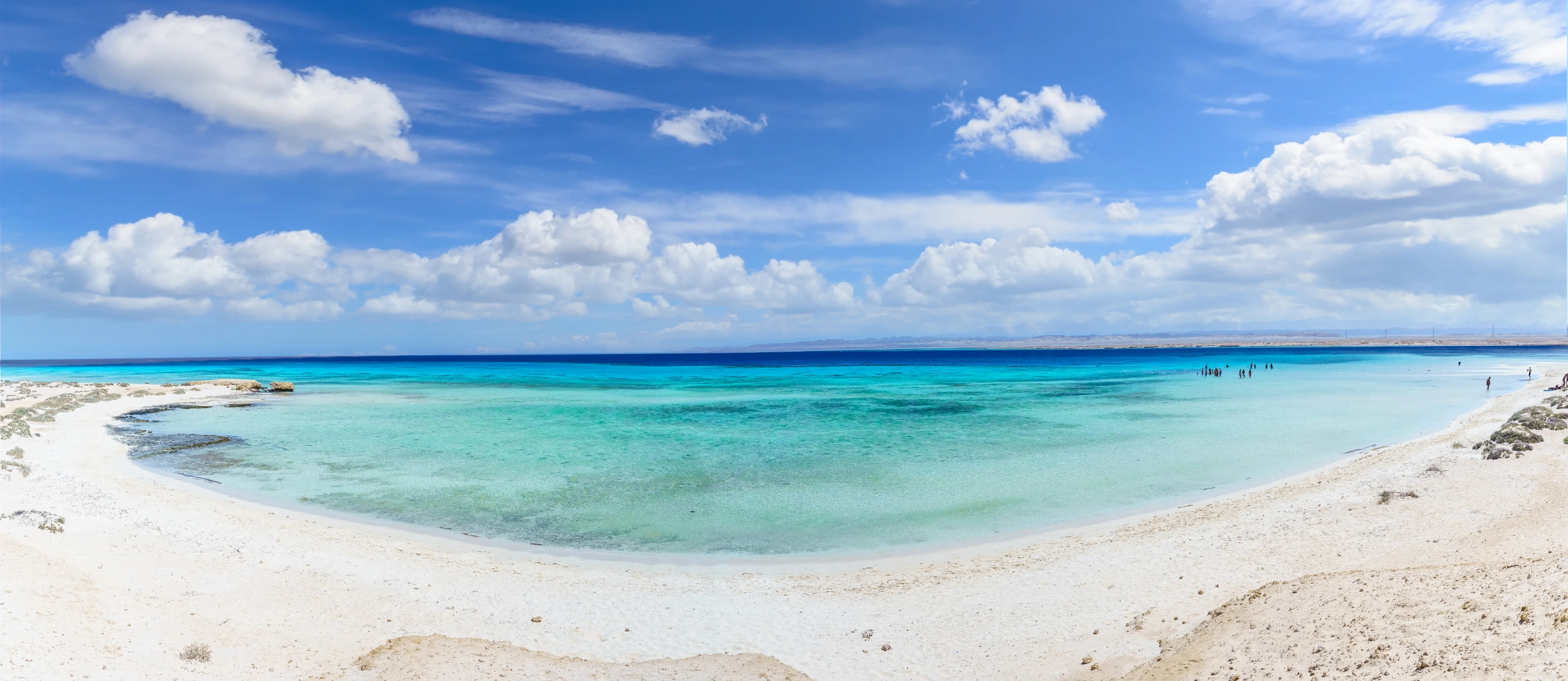 Ras Hankorab One of Egypt's few remaining near pristine habitats.
Photo credit: Balate.Dorin/Shutterstock.com
