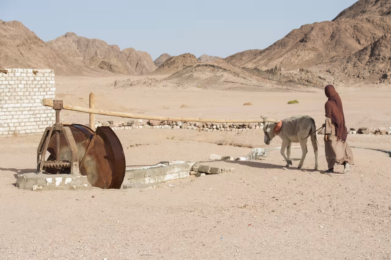 Village water wheel in the Eastern Desert. 
Paul Vinten/Shutterstock.com